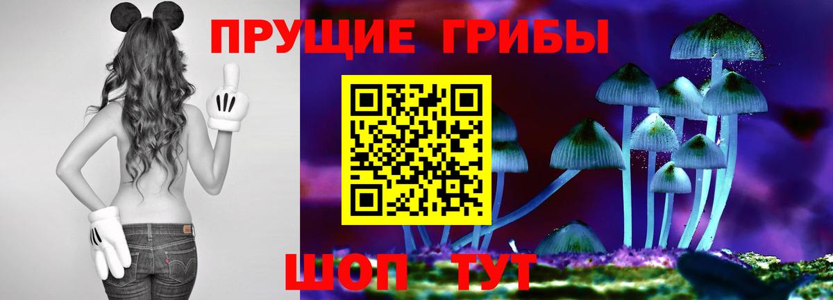 Ревда  Псилоцибиновые грибы прущие грибы  Галлюциногенные грибы MAGIC MUSHROOMS  Вход с VPN 